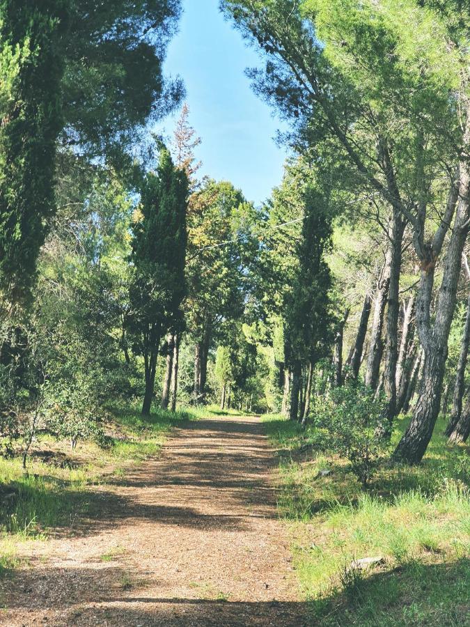 קאסטלסארדו Janas Country House מראה חיצוני תמונה